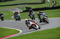 cadwell-no-limits-trackday;cadwell-park;cadwell-park-photographs;cadwell-trackday-photographs;enduro-digital-images;event-digital-images;eventdigitalimages;no-limits-trackdays;peter-wileman-photography;racing-digital-images;trackday-digital-images;trackday-photos